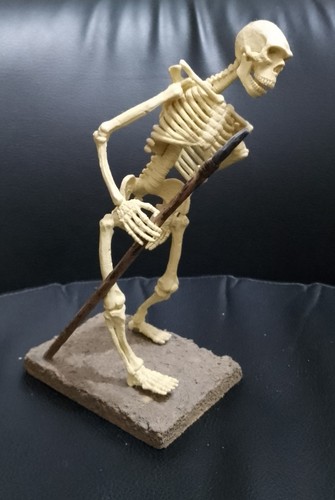 Built plastic model - plastic, kit